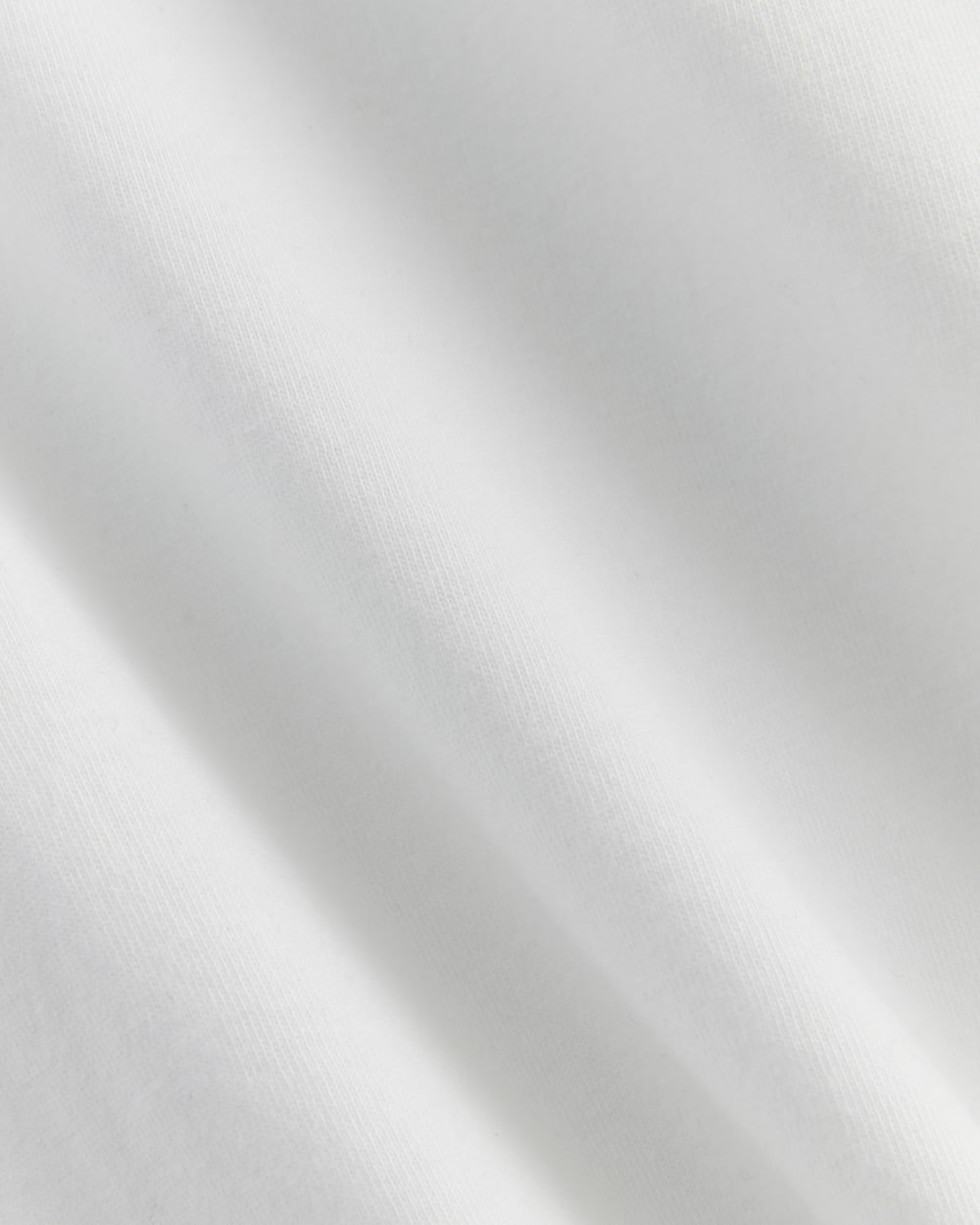 The Slim Crew in Essential Cotton | White - Image 5